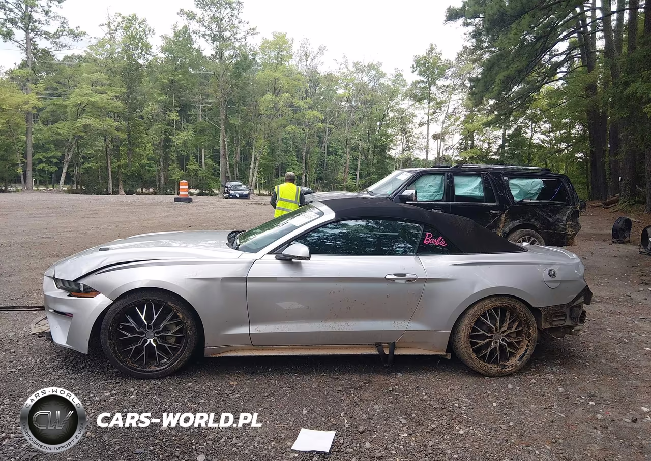 2019 Ford Mustang Ecoboost Premium VIN:1FATP8UH3K5159713 - 15