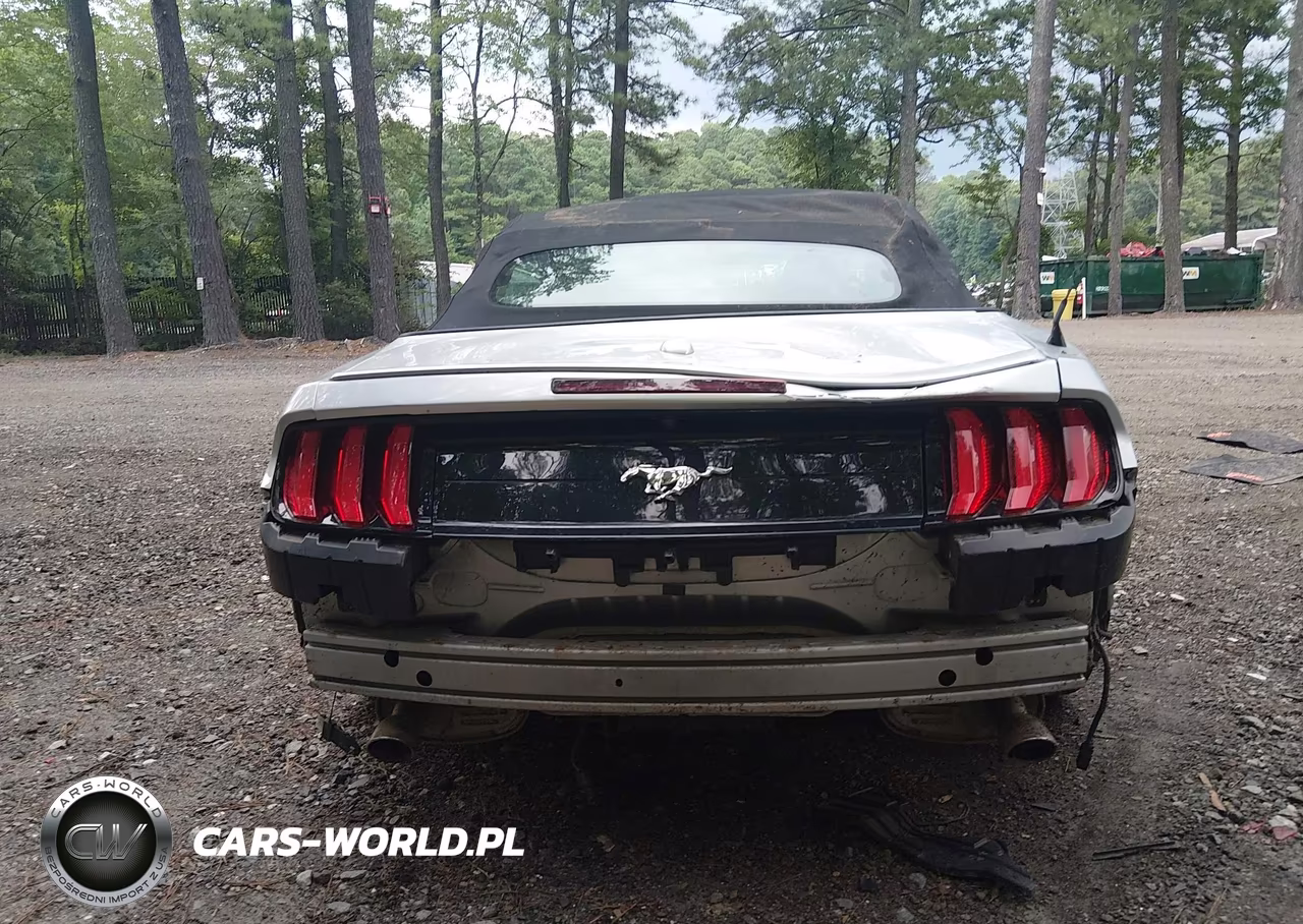 2019 Ford Mustang Ecoboost Premium VIN:1FATP8UH3K5159713 - 17