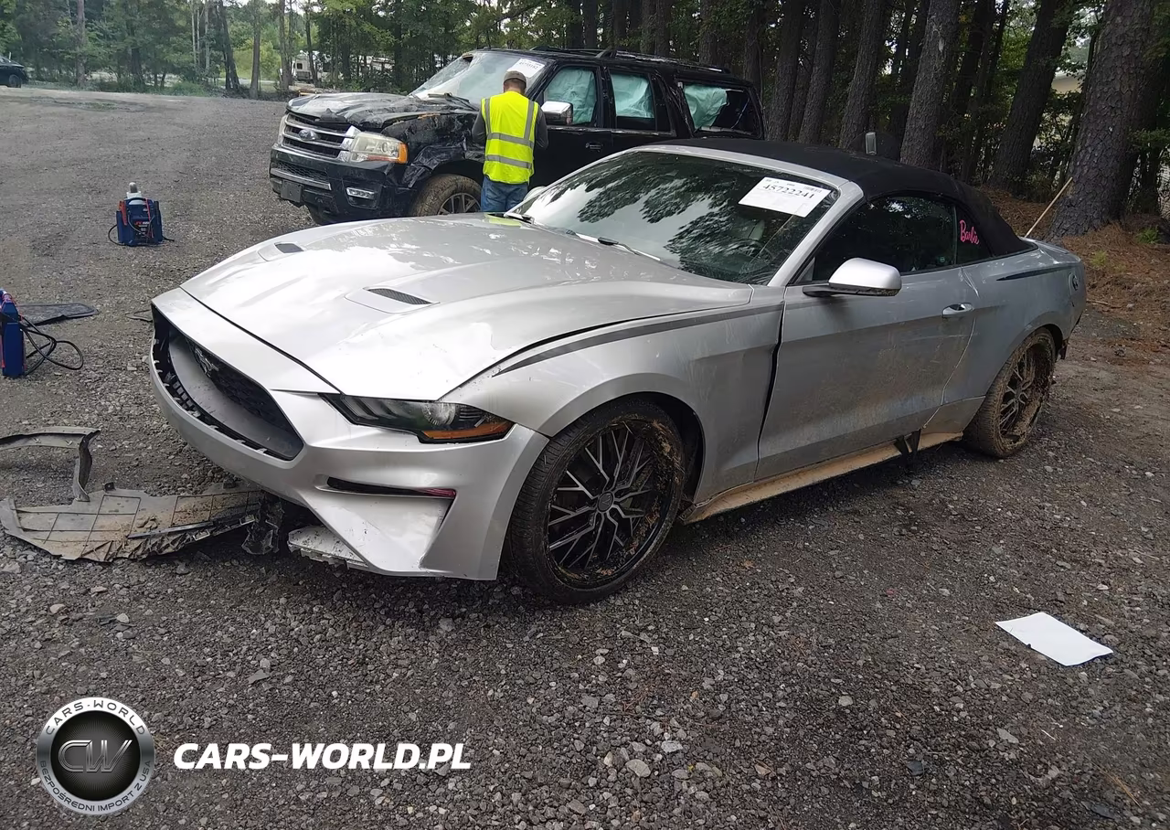 2019 Ford Mustang Ecoboost Premium VIN:1FATP8UH3K5159713 - 2