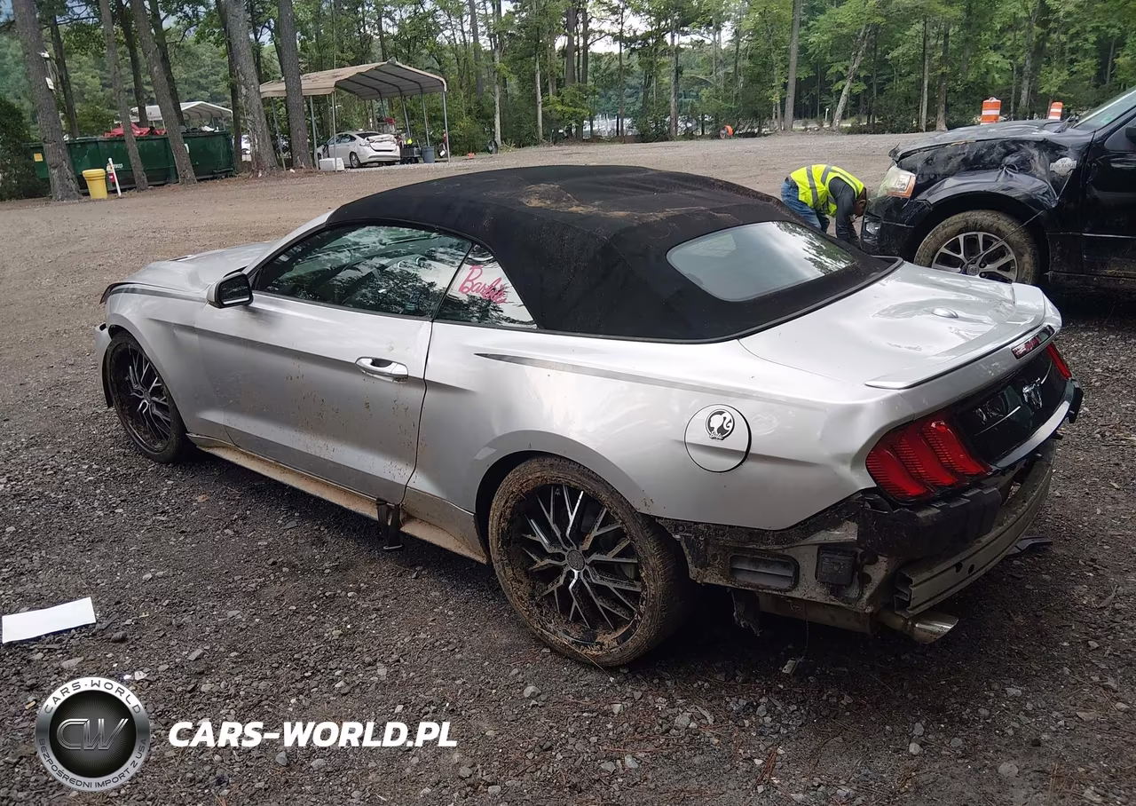 2019 Ford Mustang Ecoboost Premium VIN:1FATP8UH3K5159713 - 3