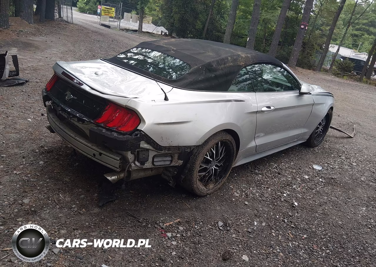 2019 Ford Mustang Ecoboost Premium VIN:1FATP8UH3K5159713 - 4
