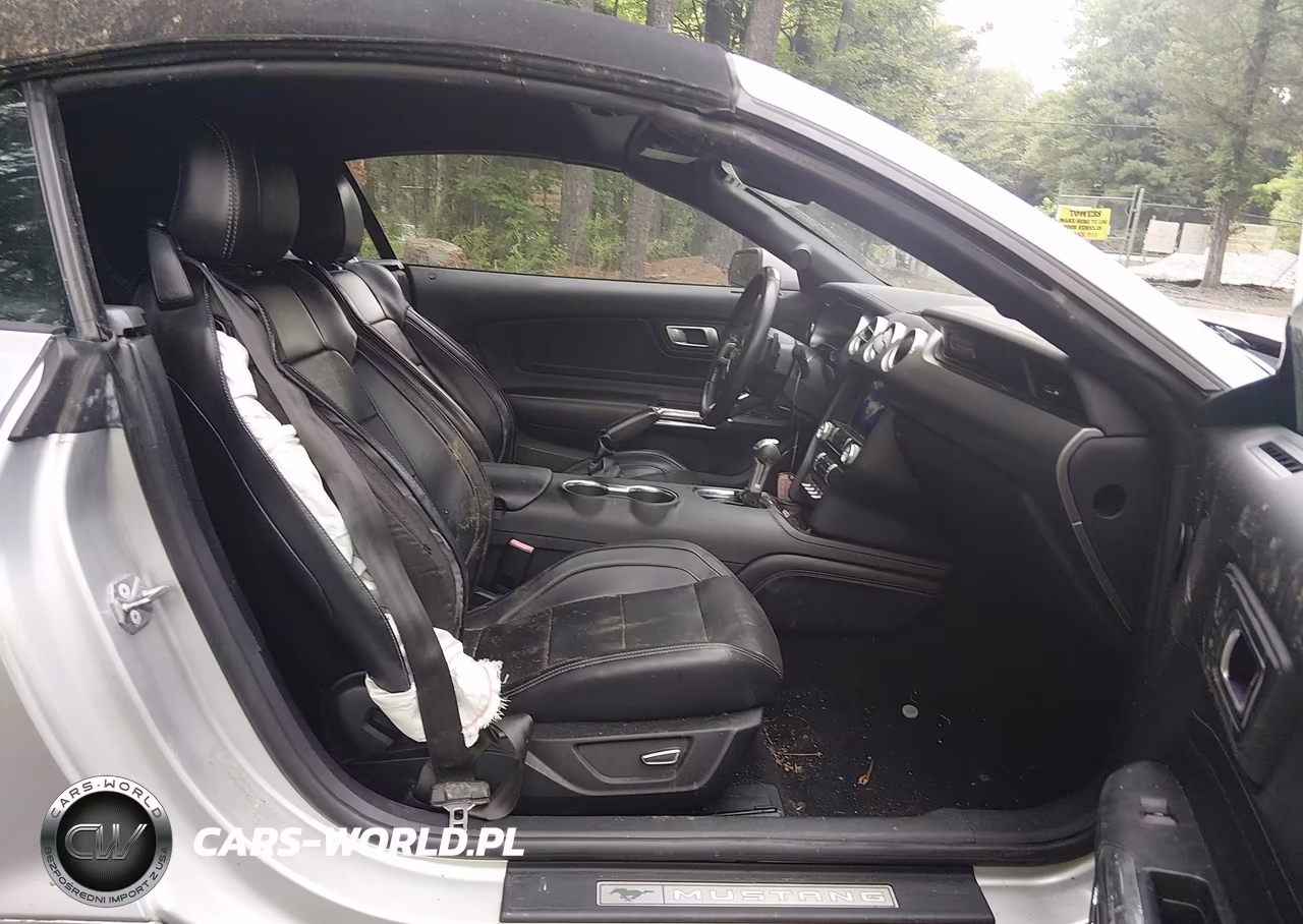 2019 Ford Mustang Ecoboost Premium VIN:1FATP8UH3K5159713 - 5