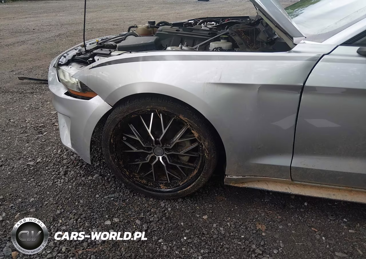 2019 Ford Mustang Ecoboost Premium VIN:1FATP8UH3K5159713 - 6