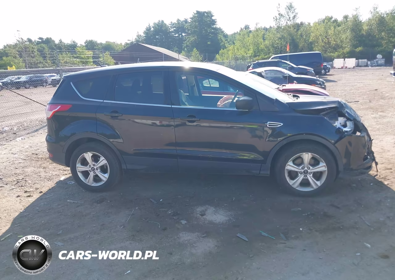 2015 Ford Escape Se VIN:1FMCU9G93FUA09668 - 13