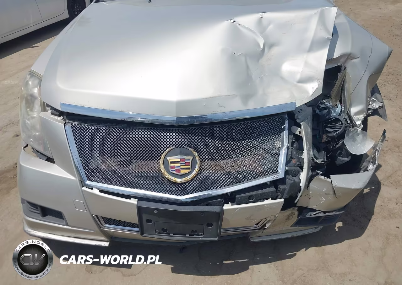 2013 Cadillac Cts Luxury VIN:1G6DE5E5XD0152333 - 12