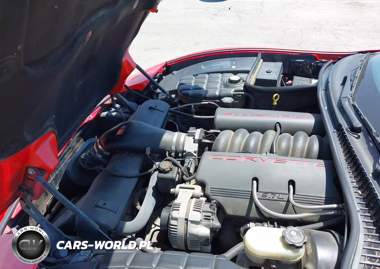 1998 Chevrolet Corvette VIN:1G1YY22G2W5103832 - 10