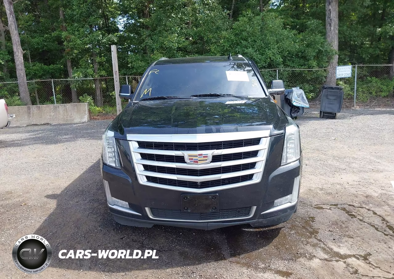 2019 Cadillac Escalade Esv Standard VIN:1GYS4GKJ2KR327777 - 12