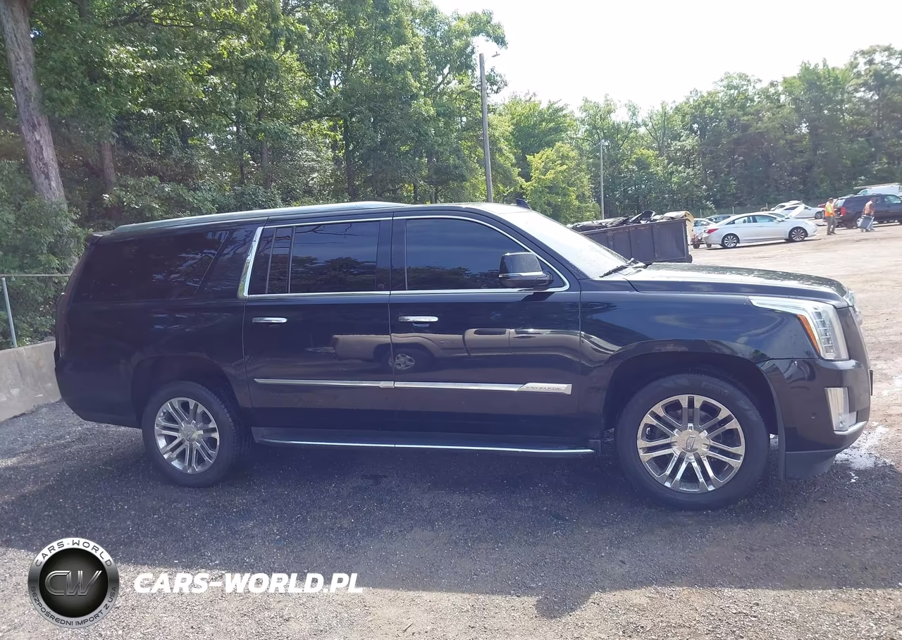 2019 Cadillac Escalade Esv Standard VIN:1GYS4GKJ2KR327777 - 13