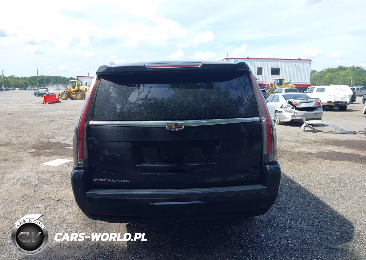 2019 Cadillac Escalade Esv Standard VIN:1GYS4GKJ2KR327777 - 16