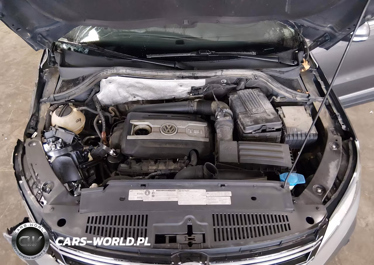2013 Volkswagen Tiguan Se VIN:WVGBV7AX3DW004959 - 10