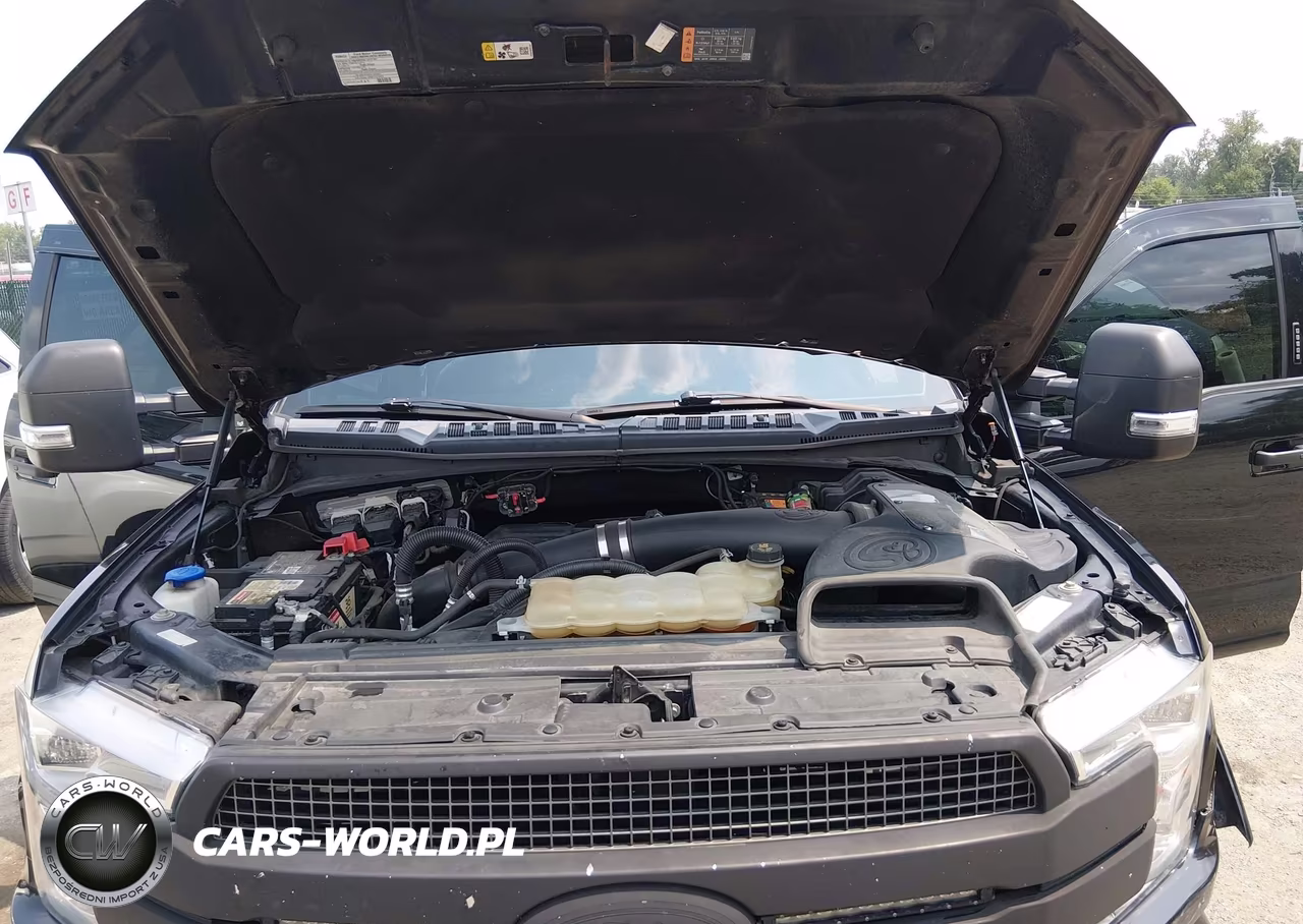2018 Ford F-150 Platinum VIN:1FTFW1E14JFD51475 - 10