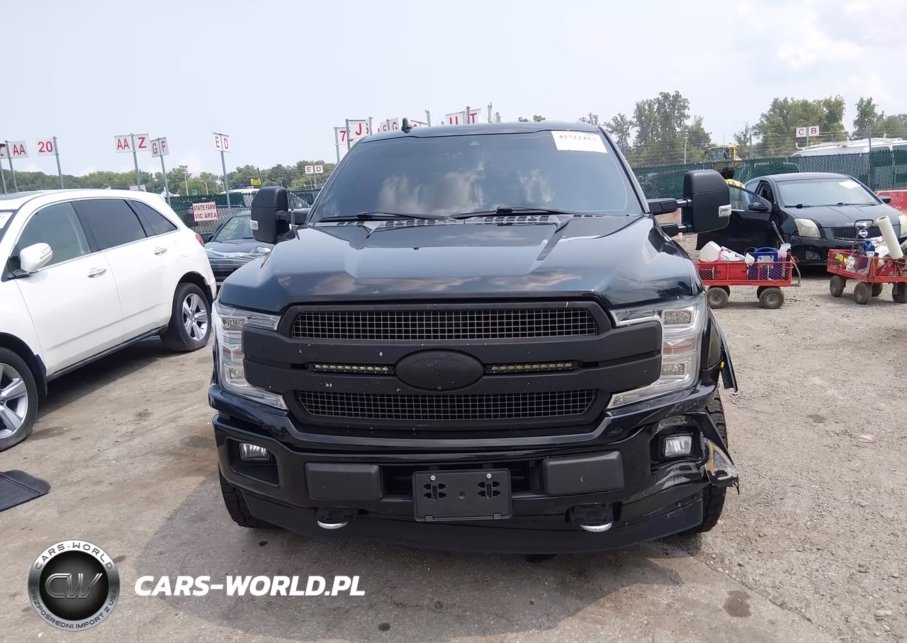 2018 Ford F-150 Platinum VIN:1FTFW1E14JFD51475 - 12