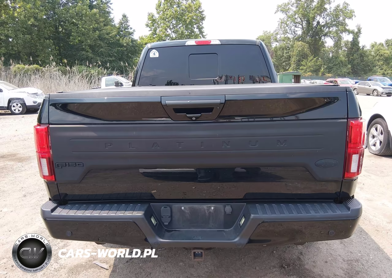 2018 Ford F-150 Platinum VIN:1FTFW1E14JFD51475 - 16