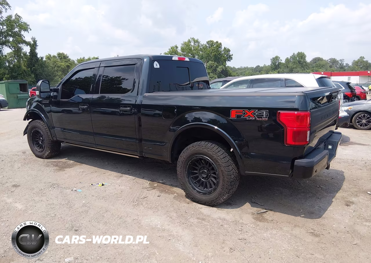 2018 Ford F-150 Platinum VIN:1FTFW1E14JFD51475 - 3