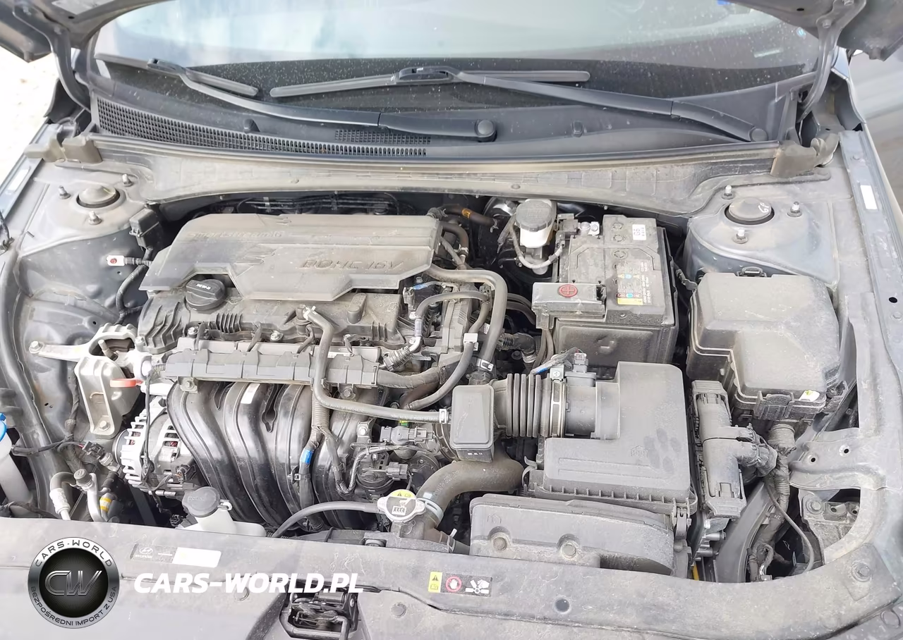 2024 Hyundai Elantra Sel VIN:KMHLS4DG1RU806193 - 10