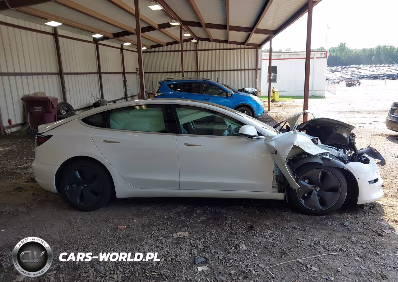 2020 Tesla Model 3 Standard Range Plus Rear-Wheel Drive-Standard Range Rear-Wheel Drive VIN:5YJ3E1EA8LF737121 - 12