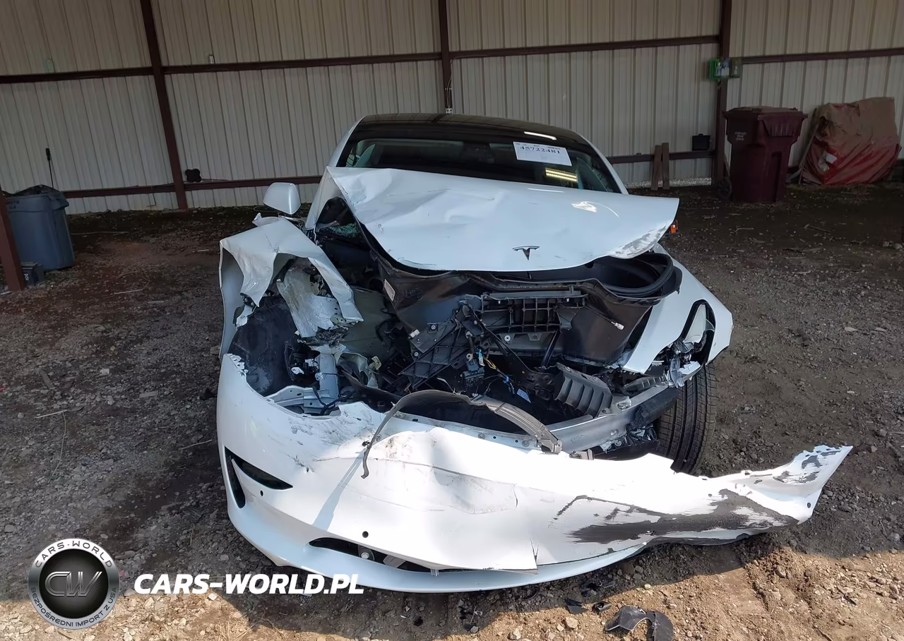 2020 Tesla Model 3 Standard Range Plus Rear-Wheel Drive-Standard Range Rear-Wheel Drive VIN:5YJ3E1EA8LF737121 - 6