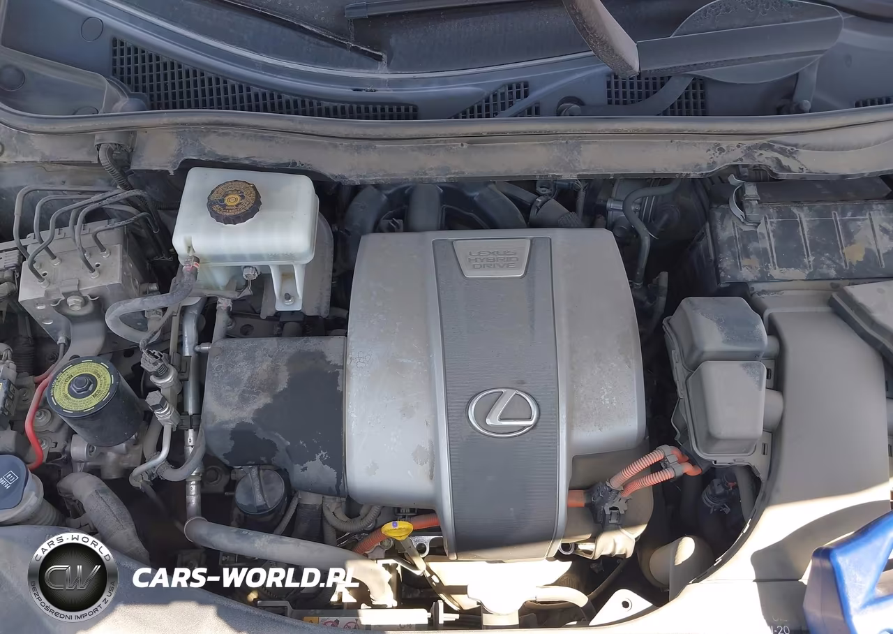 2020 Lexus Rx 450Hl Luxury VIN:JTJJGKFA8L2015234 - 10