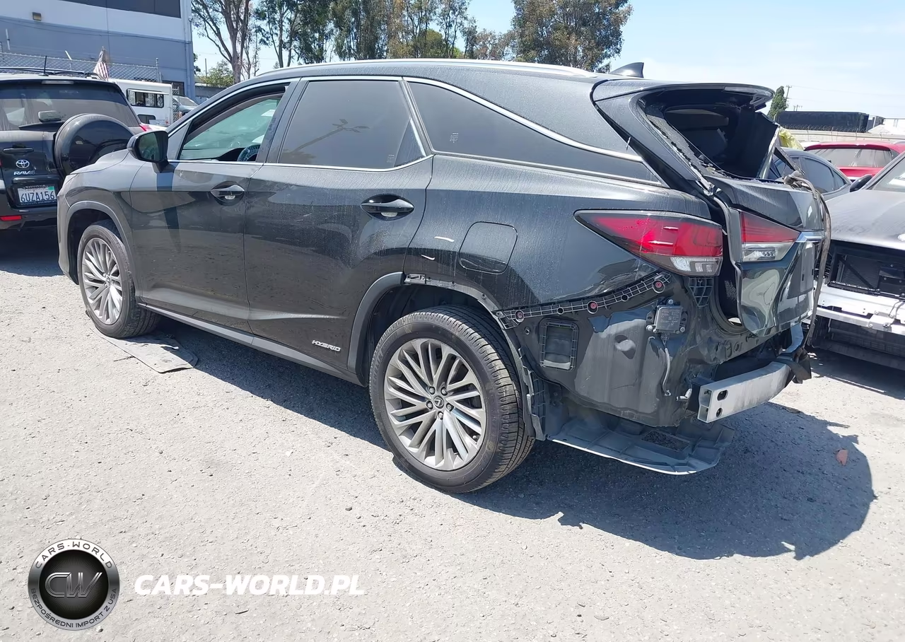 2020 Lexus Rx 450Hl Luxury VIN:JTJJGKFA8L2015234 - 3