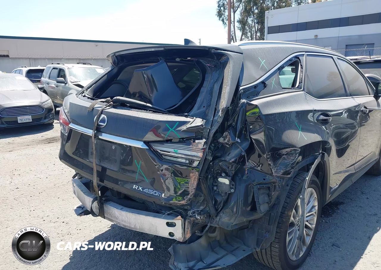 2020 Lexus Rx 450Hl Luxury VIN:JTJJGKFA8L2015234 - 6