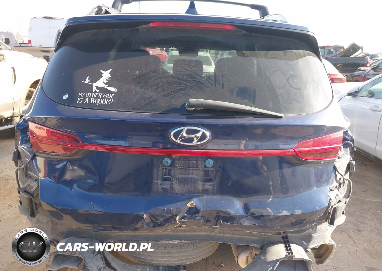 2023 Hyundai Santa Fe Sel VIN:5NMS34AJ4PH502552 - 17