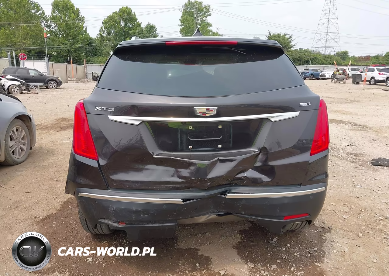 2019 Cadillac Xt5 Premium Luxury VIN:1GYKNERS3KZ109654 - 16