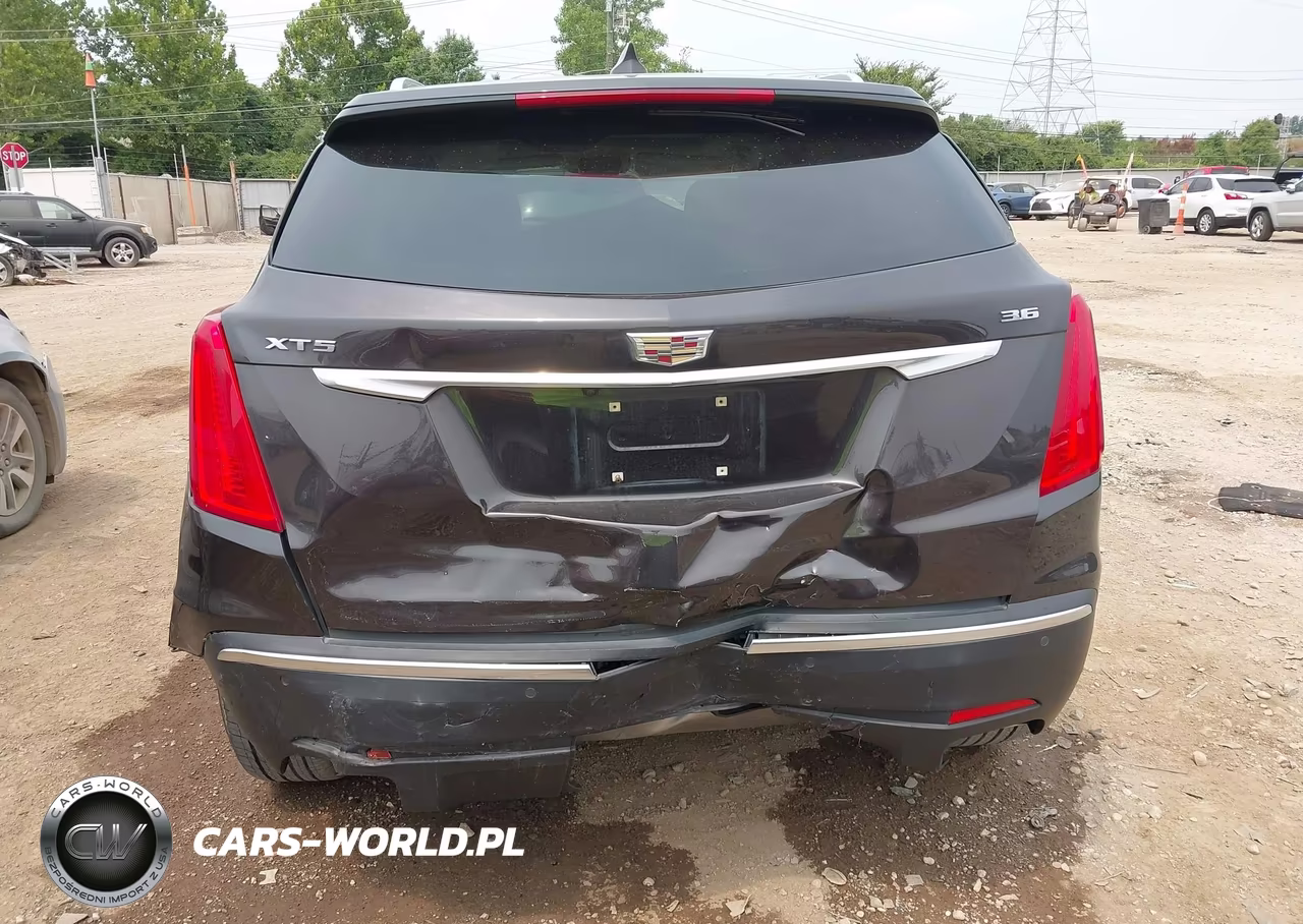 2019 Cadillac Xt5 Premium Luxury VIN:1GYKNERS3KZ109654 - 6