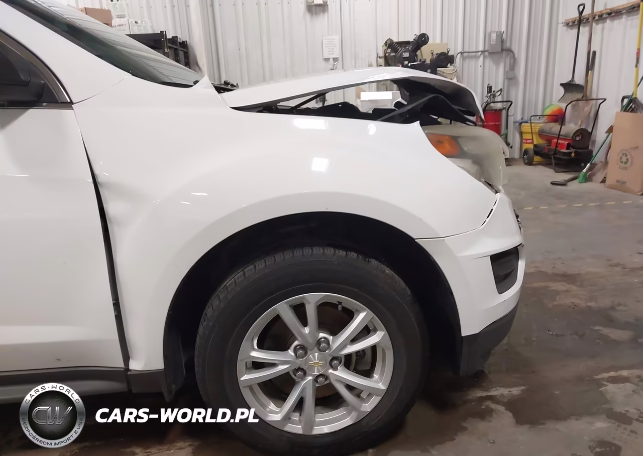 2017 Chevrolet Equinox Ls VIN:2GNFLEEK6H6212565 - 20