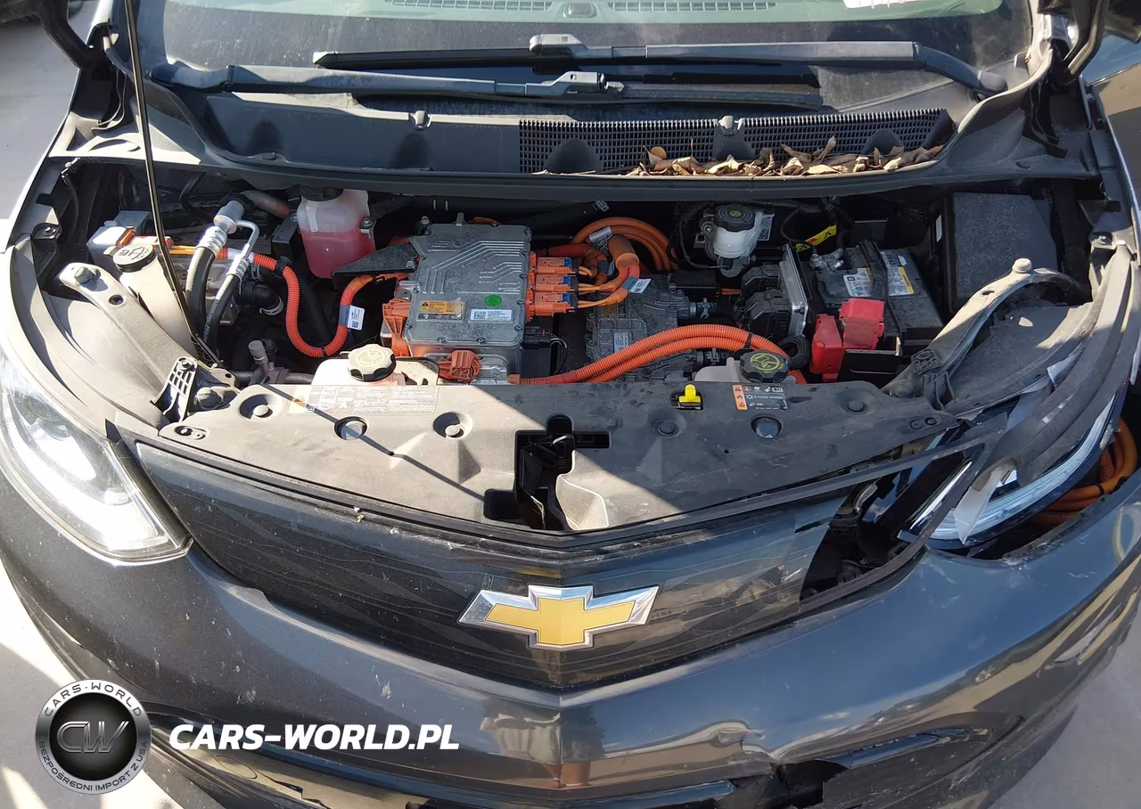 2017 Chevrolet Bolt Ev Lt VIN:1G1FW6S05H4181277 - 10