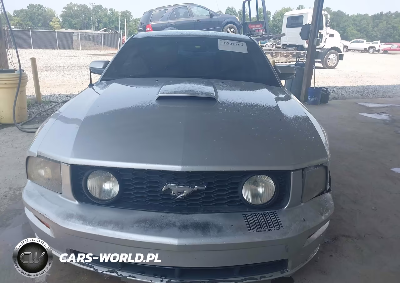 2009 Ford Mustang Gt Premium VIN:1ZVHT82H995116676 - 12