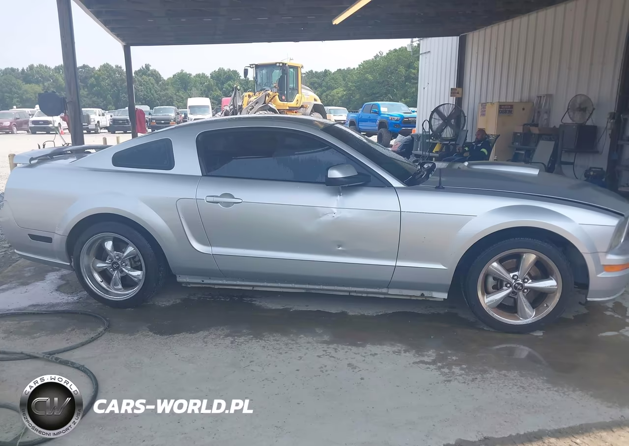 2009 Ford Mustang Gt Premium VIN:1ZVHT82H995116676 - 13