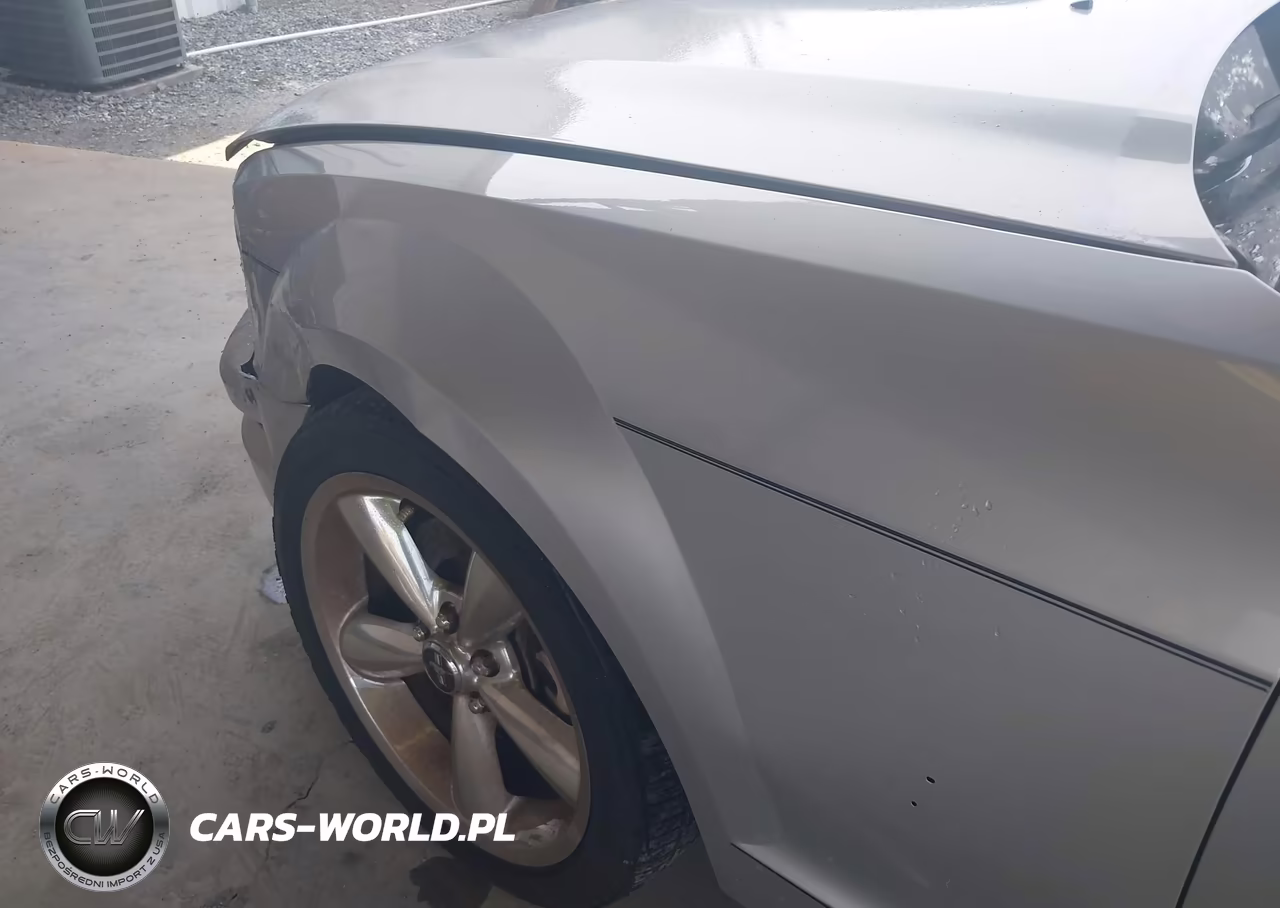 2009 Ford Mustang Gt Premium VIN:1ZVHT82H995116676 - 18