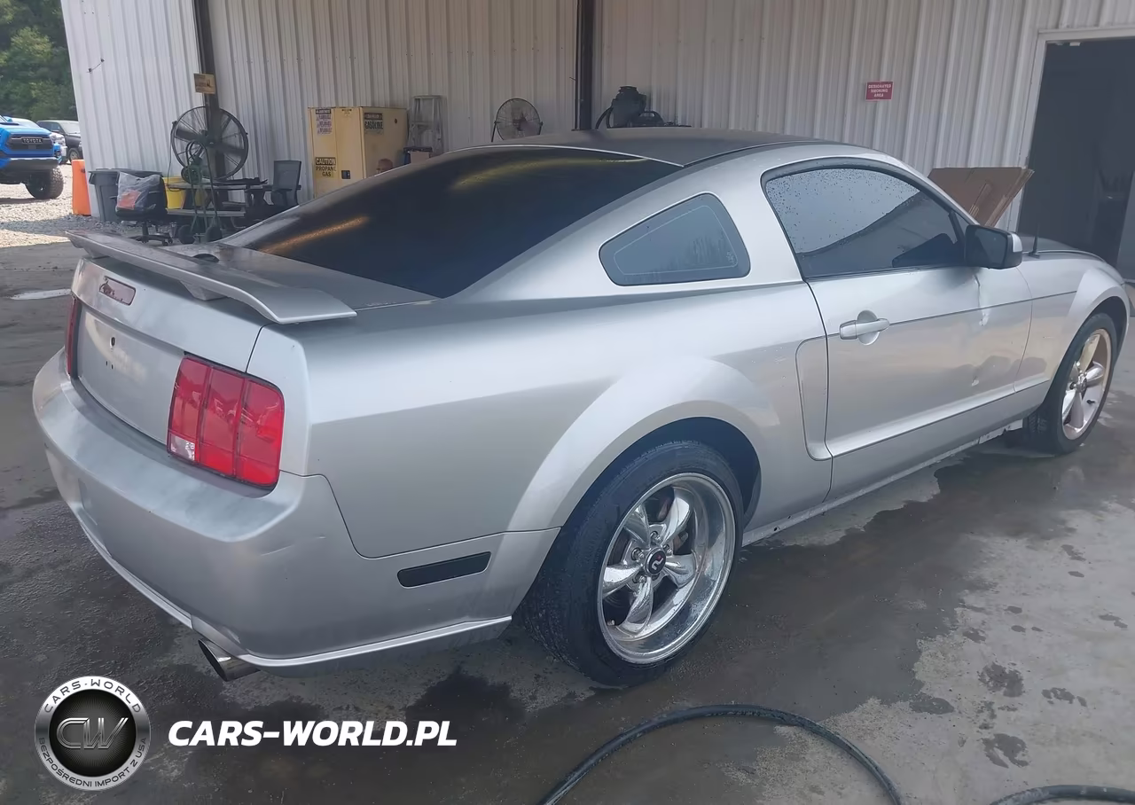 2009 Ford Mustang Gt Premium VIN:1ZVHT82H995116676 - 4