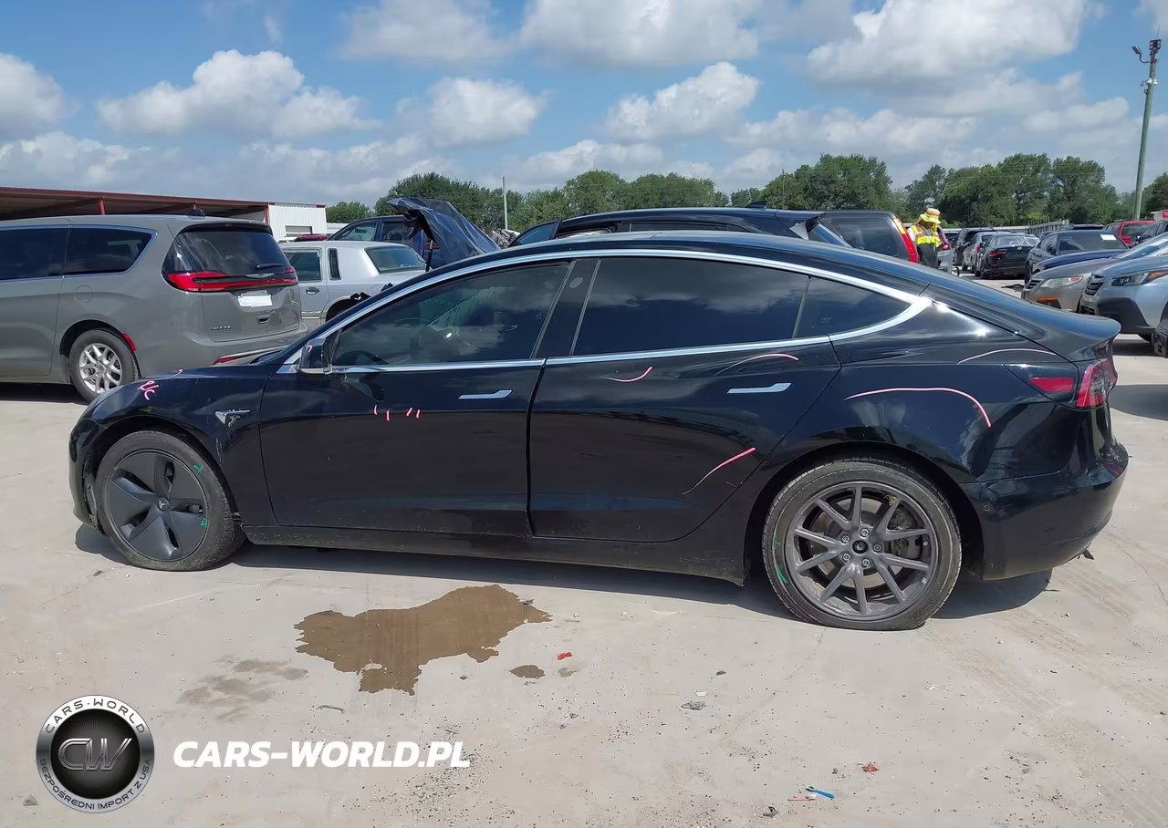 2020 Tesla Model 3 Standard Range Plus Rear-Wheel Drive-Standard Range Rear-Wheel Drive VIN:5YJ3E1EA5LF606387 - 13