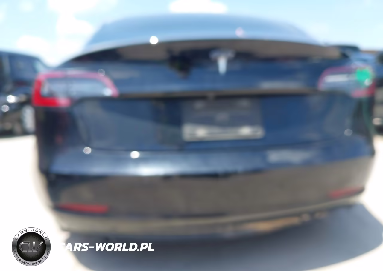 2020 Tesla Model 3 Standard Range Plus Rear-Wheel Drive-Standard Range Rear-Wheel Drive VIN:5YJ3E1EA5LF606387 - 6