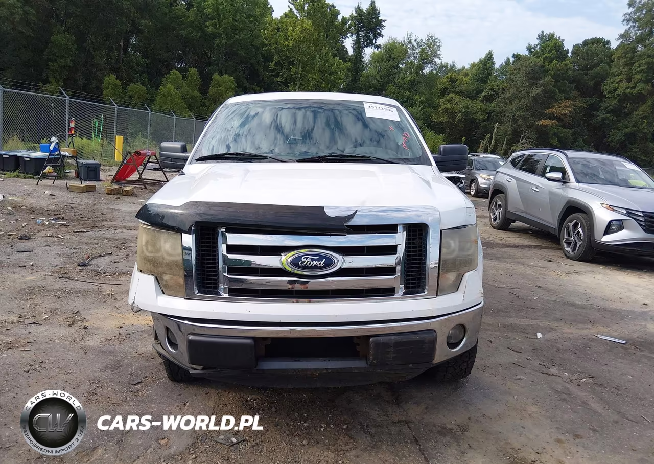 2012 Ford F-150 Xlt VIN:1FTEW1CM3CKD69436 - 12