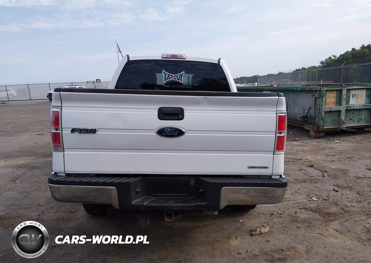 2012 Ford F-150 Xlt VIN:1FTEW1CM3CKD69436 - 16