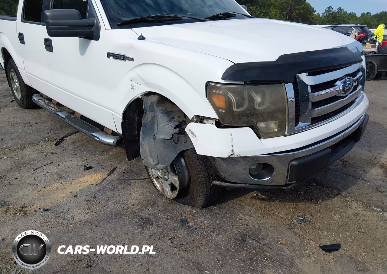 2012 Ford F-150 Xlt VIN:1FTEW1CM3CKD69436 - 17
