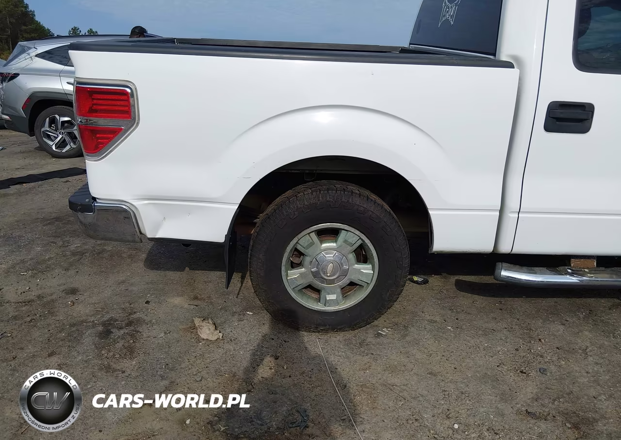 2012 Ford F-150 Xlt VIN:1FTEW1CM3CKD69436 - 19