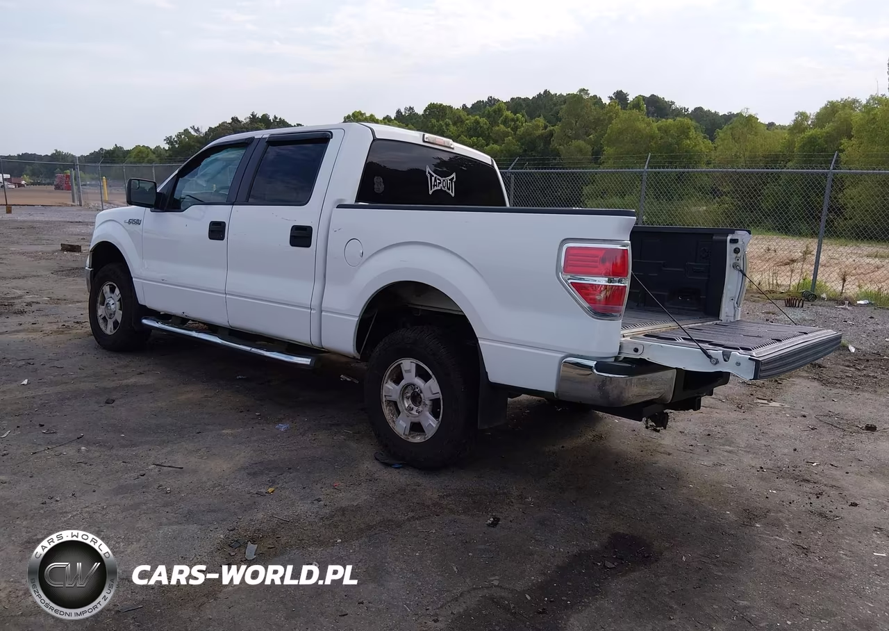 2012 Ford F-150 Xlt VIN:1FTEW1CM3CKD69436 - 3