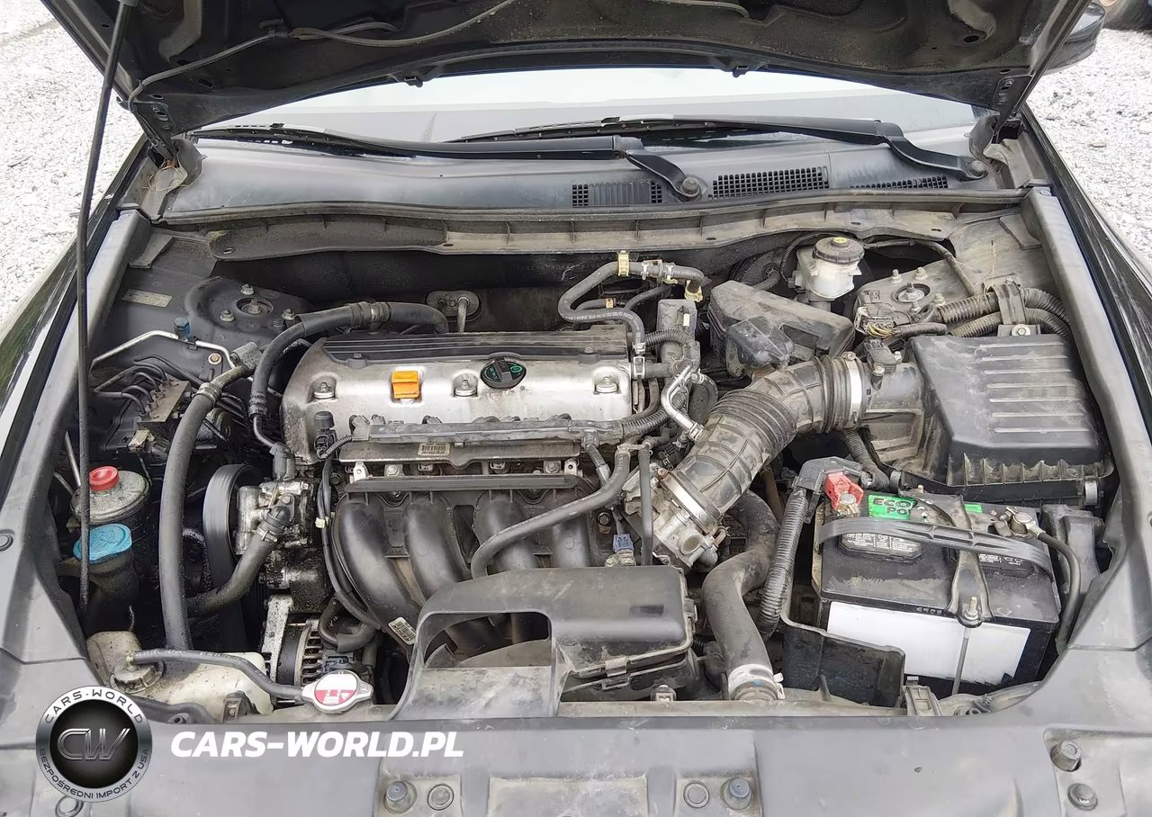 2010 Honda Accord 2.4 Lx VIN:1HGCP2F30AA008554 - 10