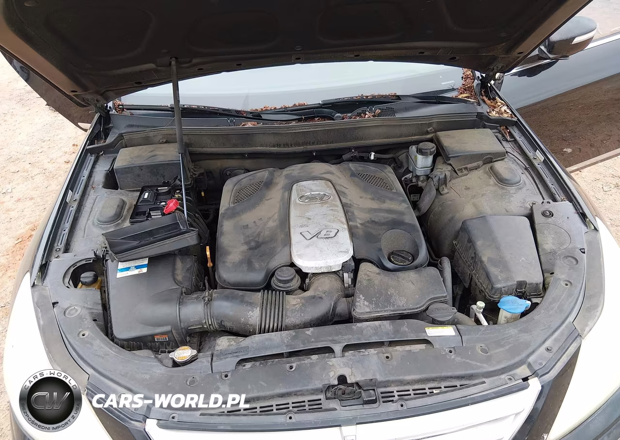 2011 Hyundai Genesis 4.6 VIN:KMHGC4DF8BU119515 - 10