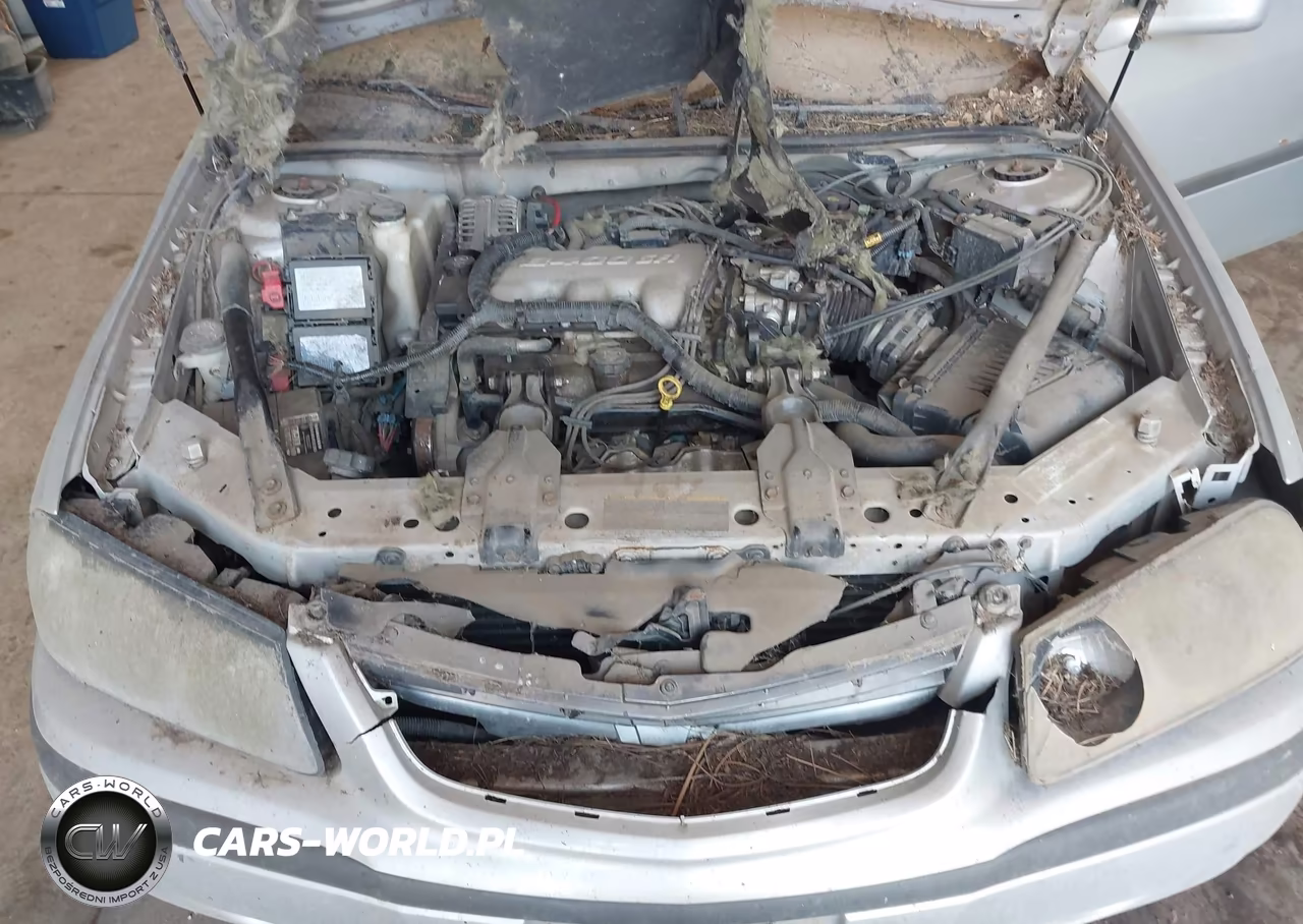 2004 Chevrolet Impala VIN:2G1WF52E549385154 - 10
