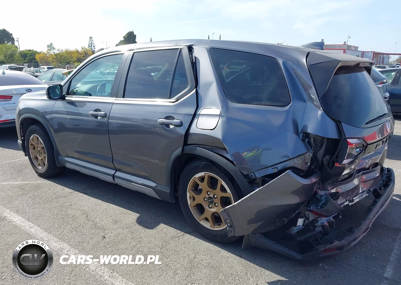 2024 Honda Pilot Ex-L VIN:5FNYG2H4XRB007540 - 3