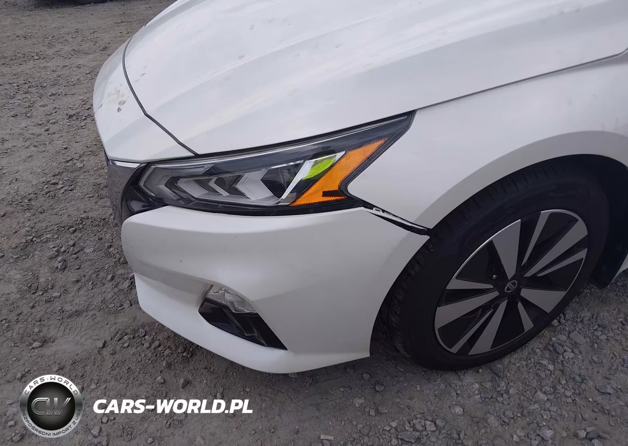 2019 Nissan Altima 2.5 Sv VIN:1N4BL4DW1KC135176 - 6