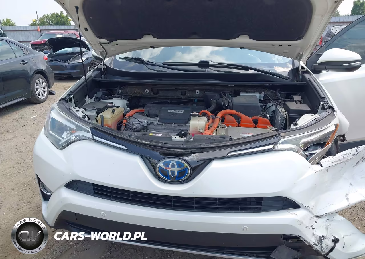 2018 Toyota Rav4 Hybrid Limited VIN:JTMDJREVXJD249262 - 10