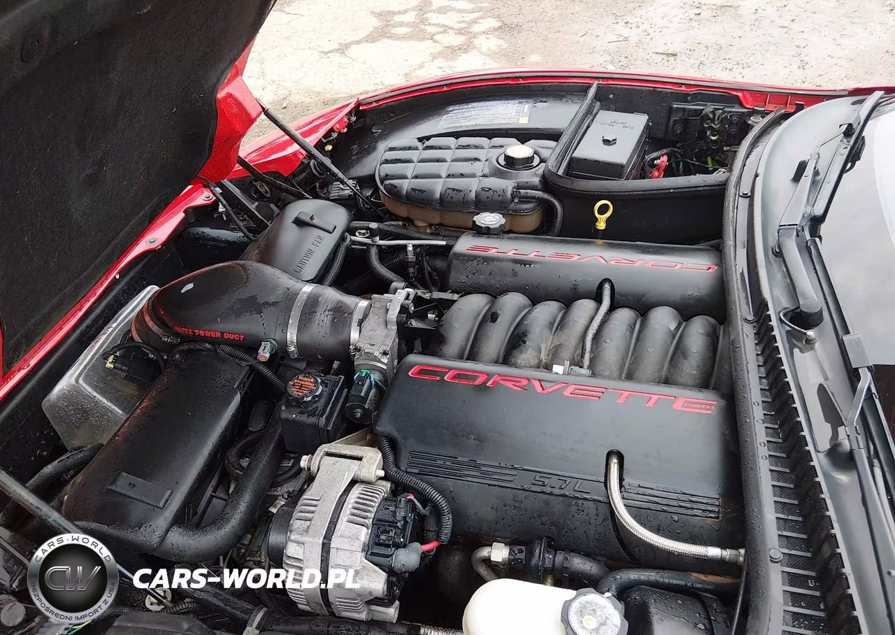1999 Chevrolet Corvette VIN:1G1YY32G8X5124837 - 10