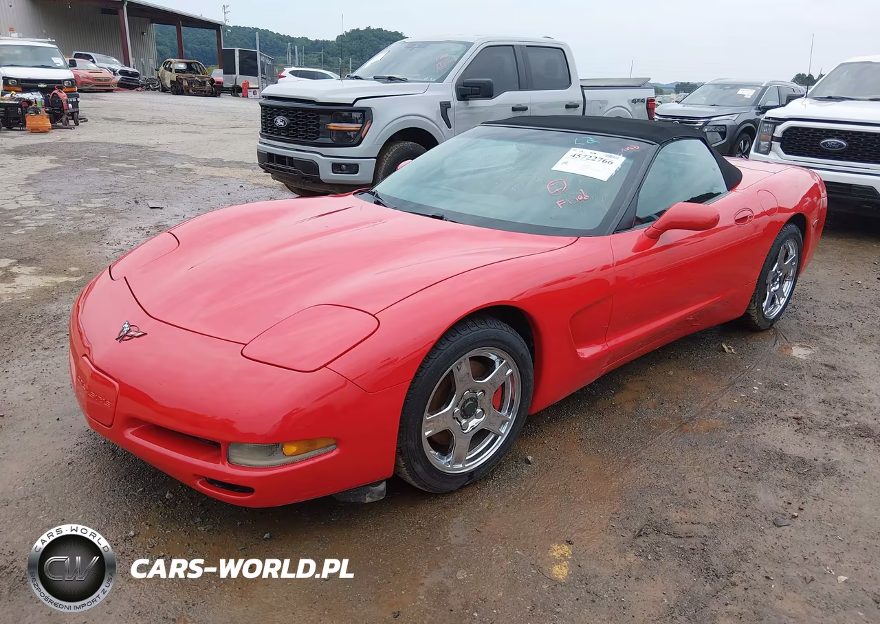 1999 Chevrolet Corvette VIN:1G1YY32G8X5124837 - 2