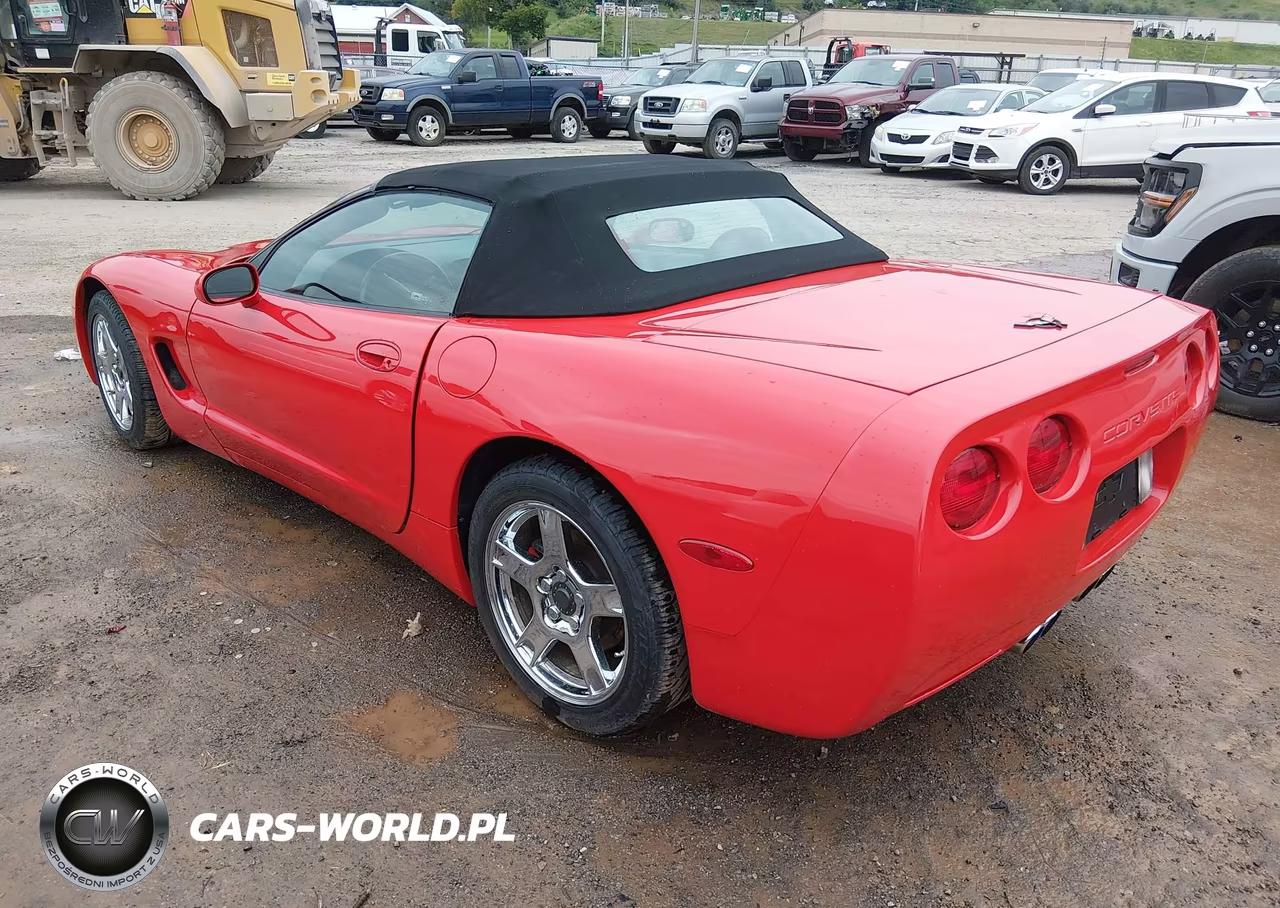 1999 Chevrolet Corvette VIN:1G1YY32G8X5124837 - 3