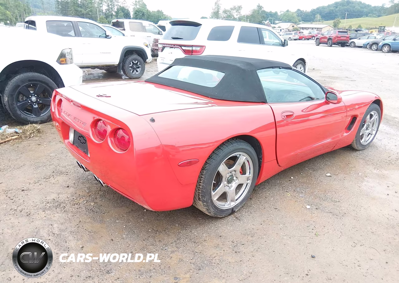 1999 Chevrolet Corvette VIN:1G1YY32G8X5124837 - 4